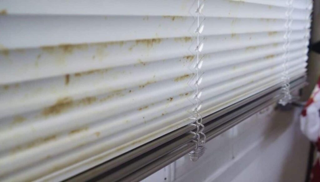 Luxaflex schoonmaken: 10 handige methoden die oma weet raadt